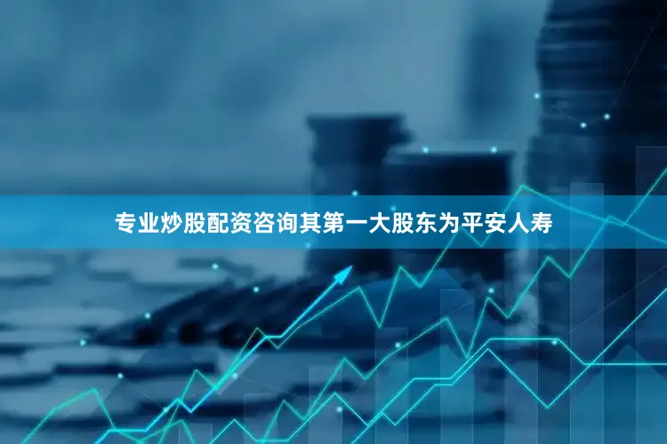 专业炒股配资咨询其第一大股东为平安人寿