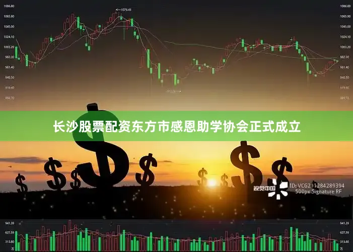 长沙股票配资东方市感恩助学协会正式成立